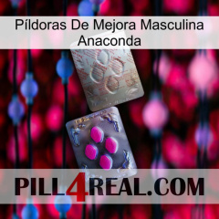 Píldoras De Mejora Masculina Anaconda 38